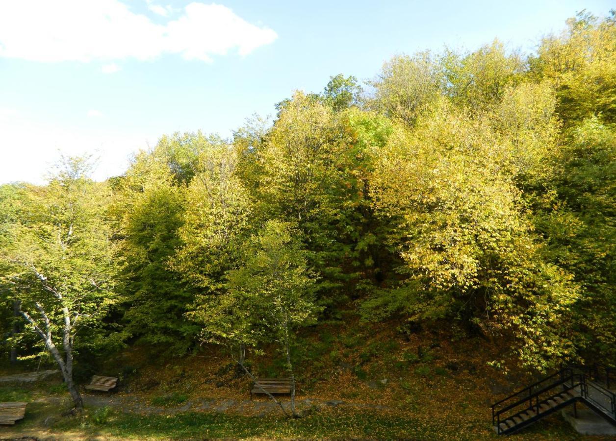 Tsaghkahovit Hotel Tsaghkadzor Eksteriør billede